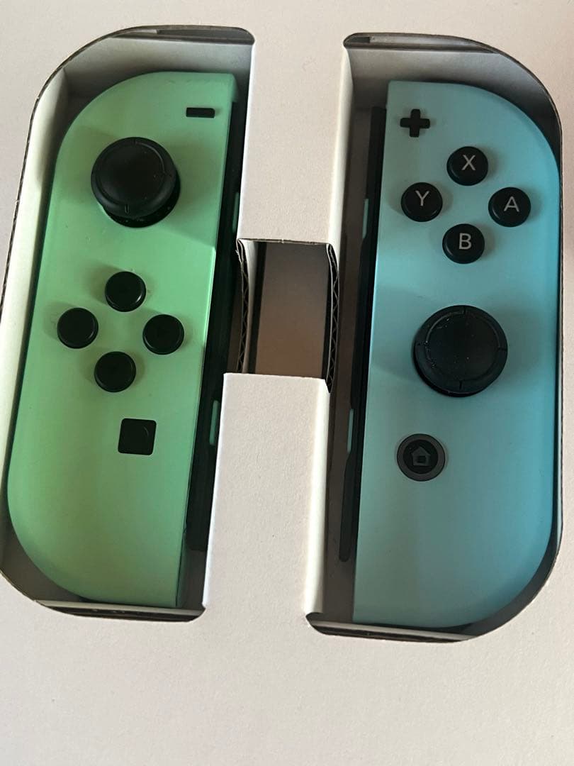 Nintendo Switch本体　あつまれどうぶつの森