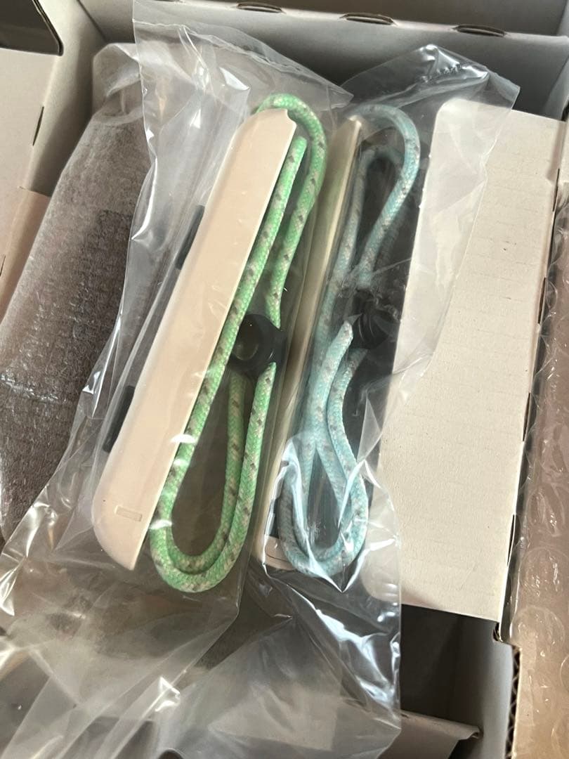 Nintendo Switch本体　あつまれどうぶつの森