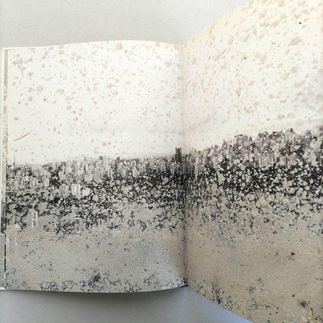 über euren Städten wird Gras wachsen/写真集