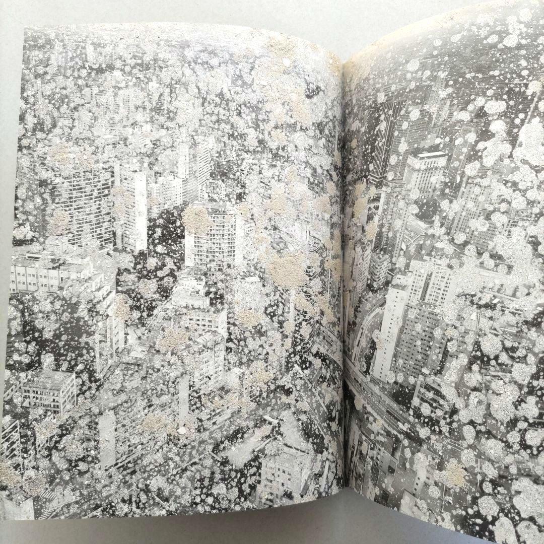 über euren Städten wird Gras wachsen/写真集