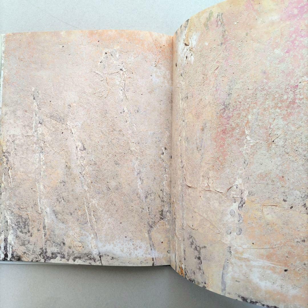 über euren Städten wird Gras wachsen/写真集