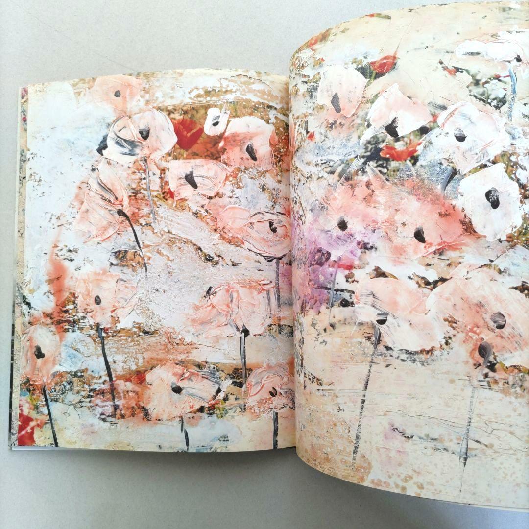 über euren Städten wird Gras wachsen/写真集