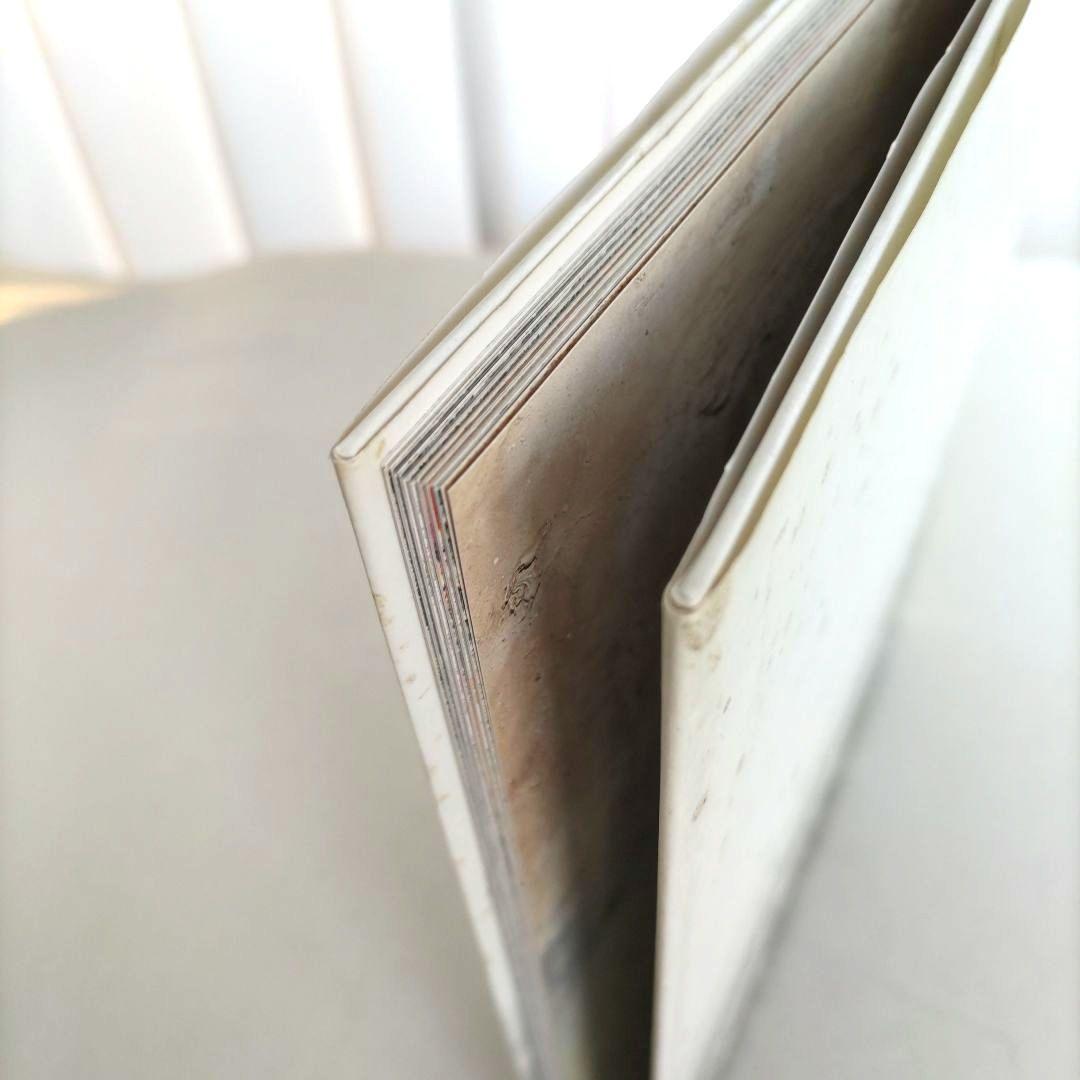 über euren Städten wird Gras wachsen/写真集