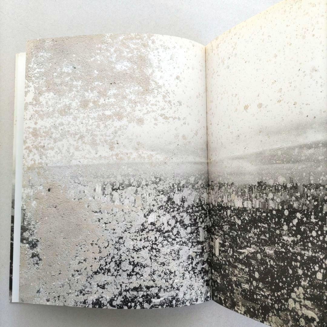 über euren Städten wird Gras wachsen/写真集