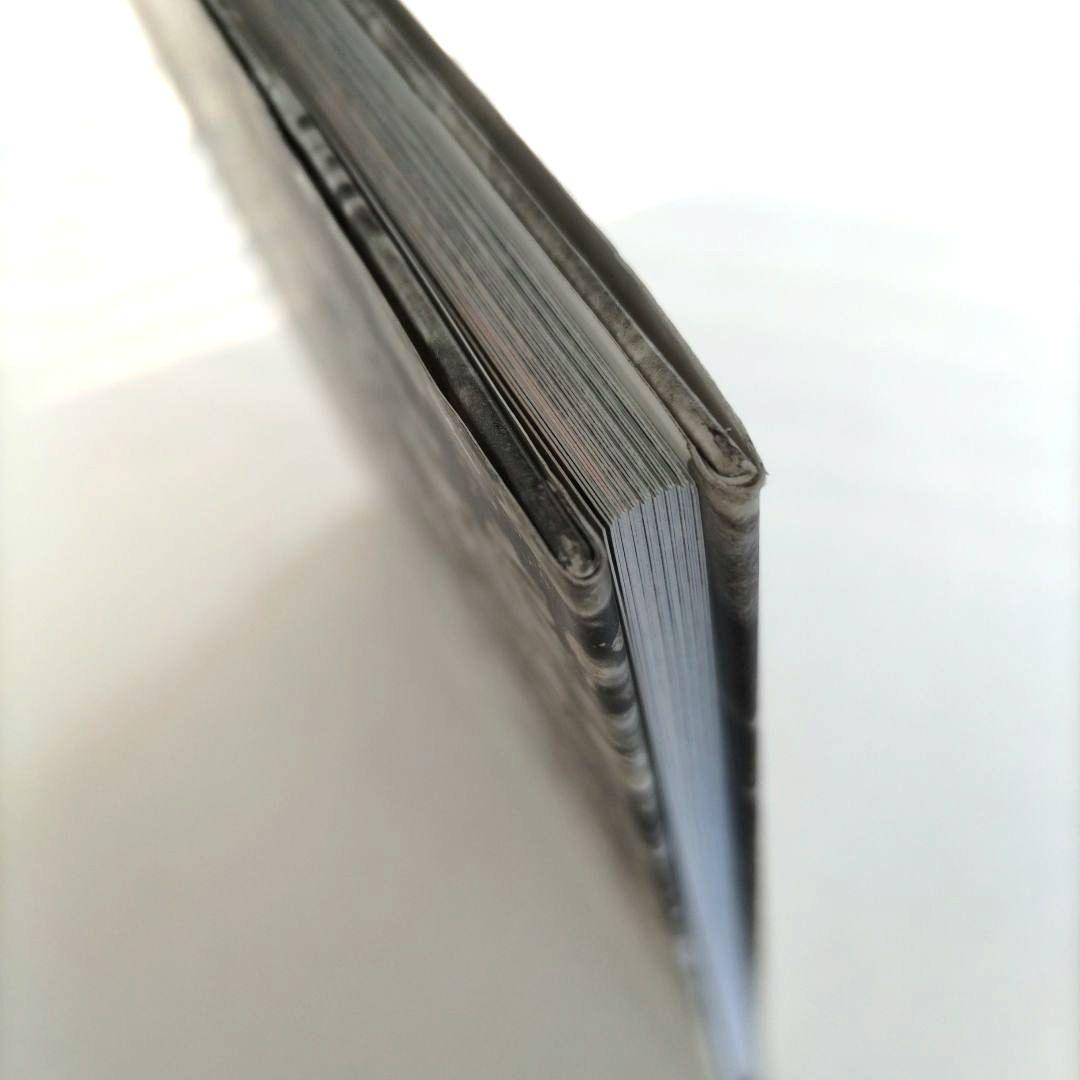 über euren Städten wird Gras wachsen/写真集