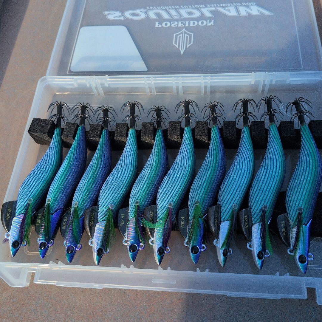 ダートマックス　TR tr 　パープル　ボーダー　グリーン１０個セット