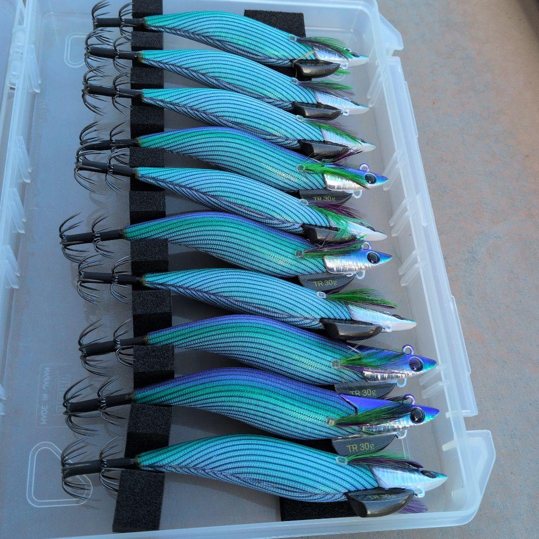 ダートマックス　TR tr 　パープル　ボーダー　グリーン１０個セット