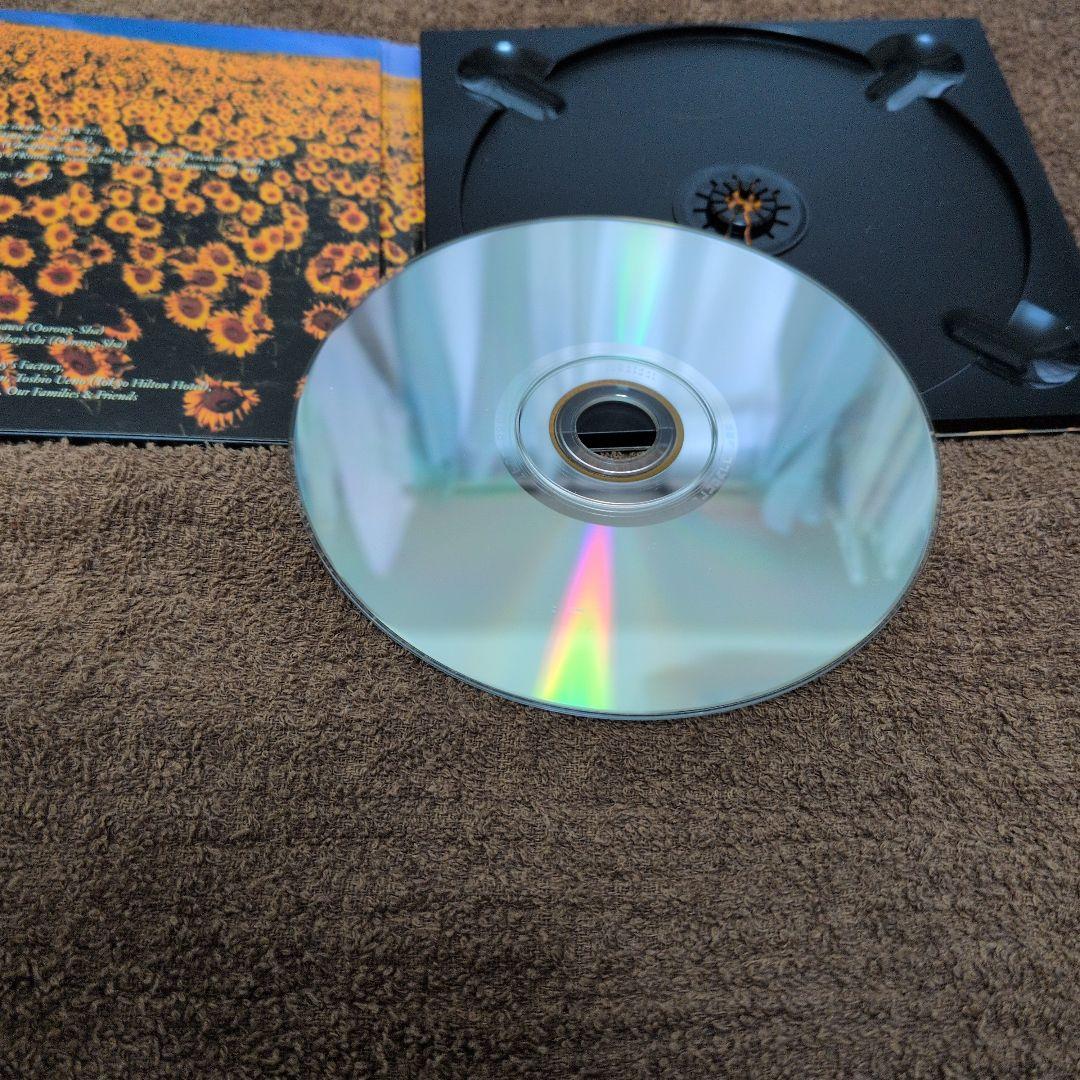 Mr.Children・BOLERO（CDアルバム）初回限定