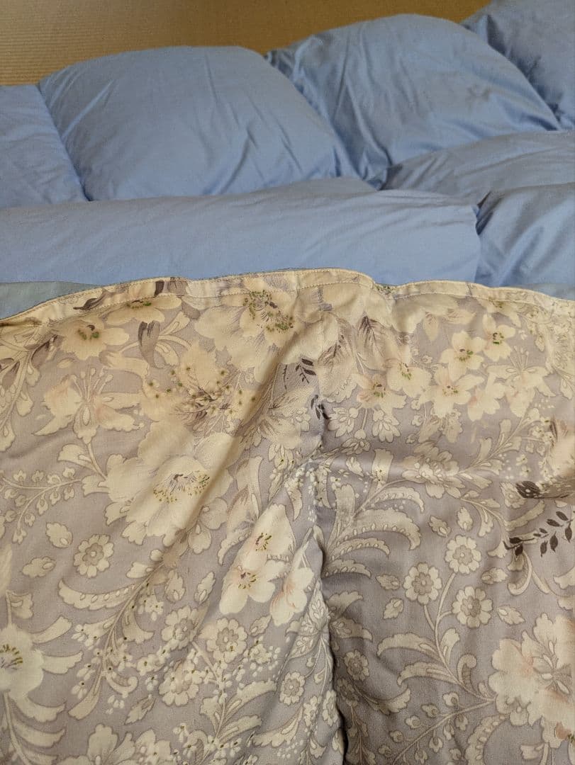 東京西川　羽毛掛け布団 シングルサイズ150x210cm