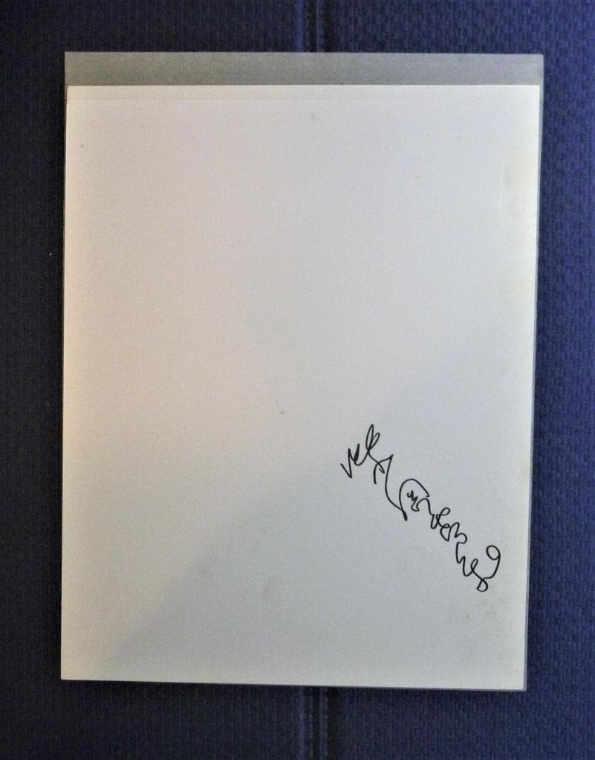 【500部私家本●テストショットポラロイド（サイン付き）等付属】「幻視」柴岡秀和