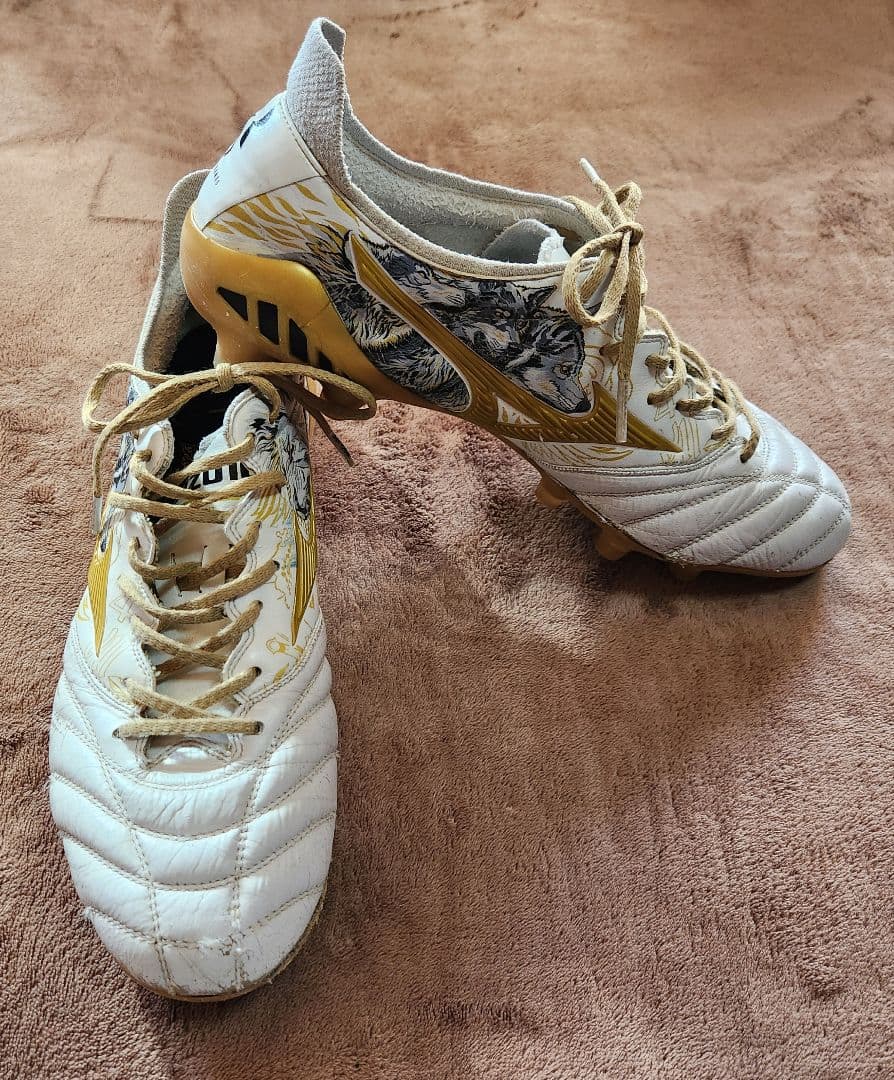 naichandayo MizunoモレリアネオⅢセルヒオラモス