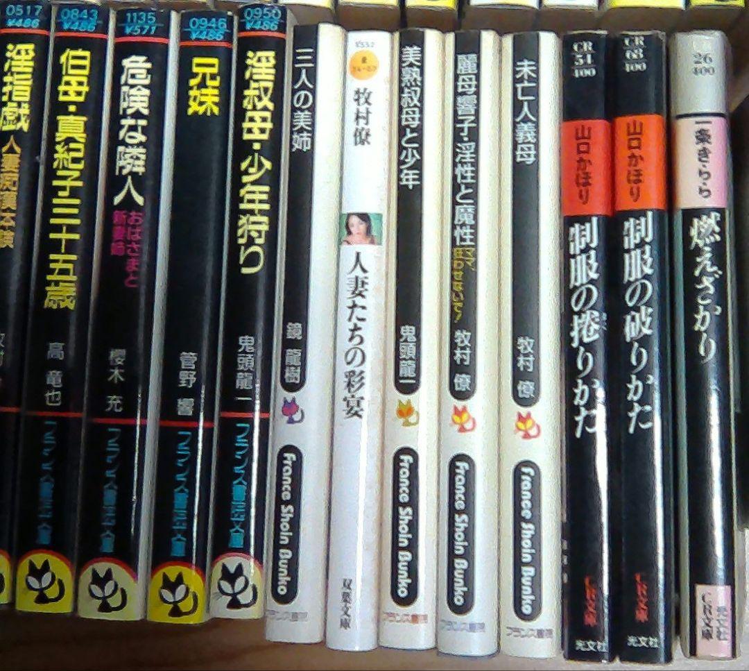 官能小説まとめ売り　計８５冊