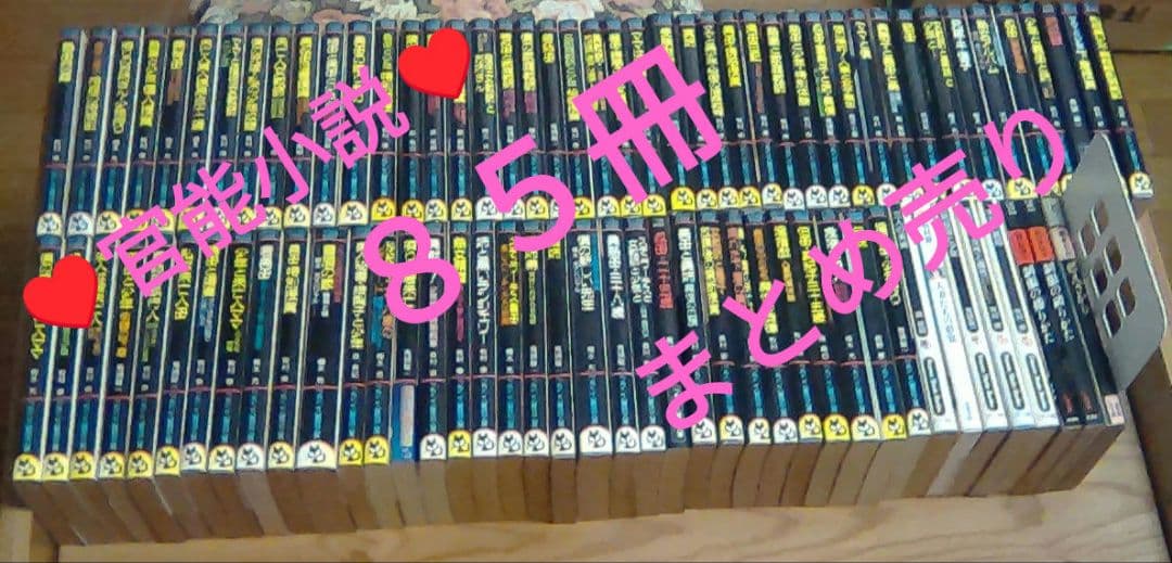 官能小説まとめ売り　計８５冊