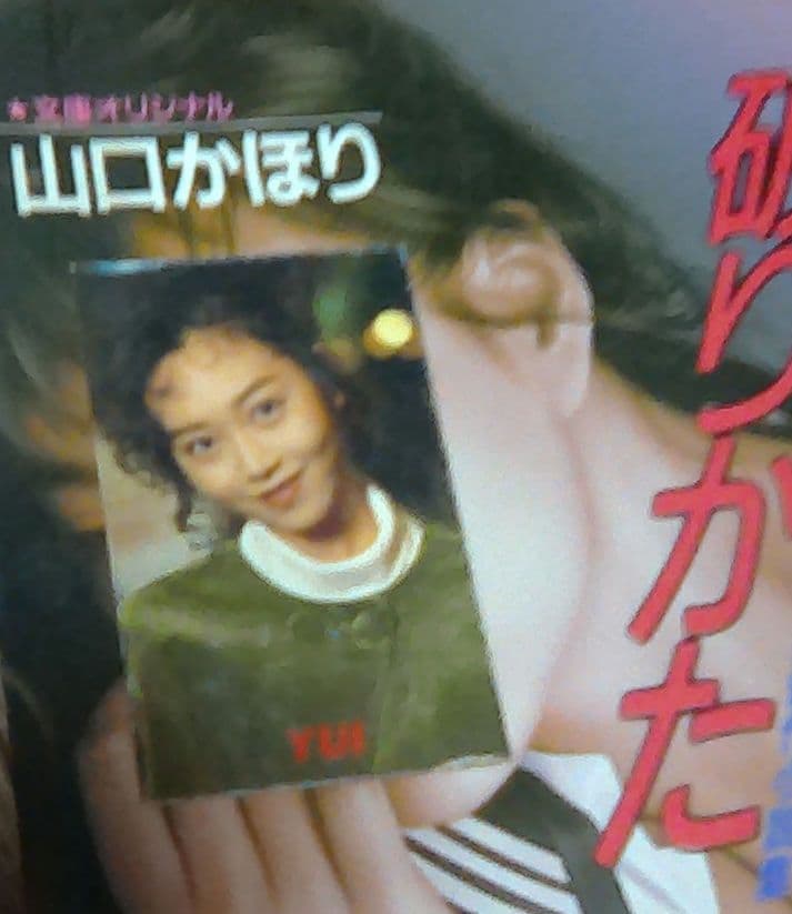 官能小説まとめ売り　計８５冊