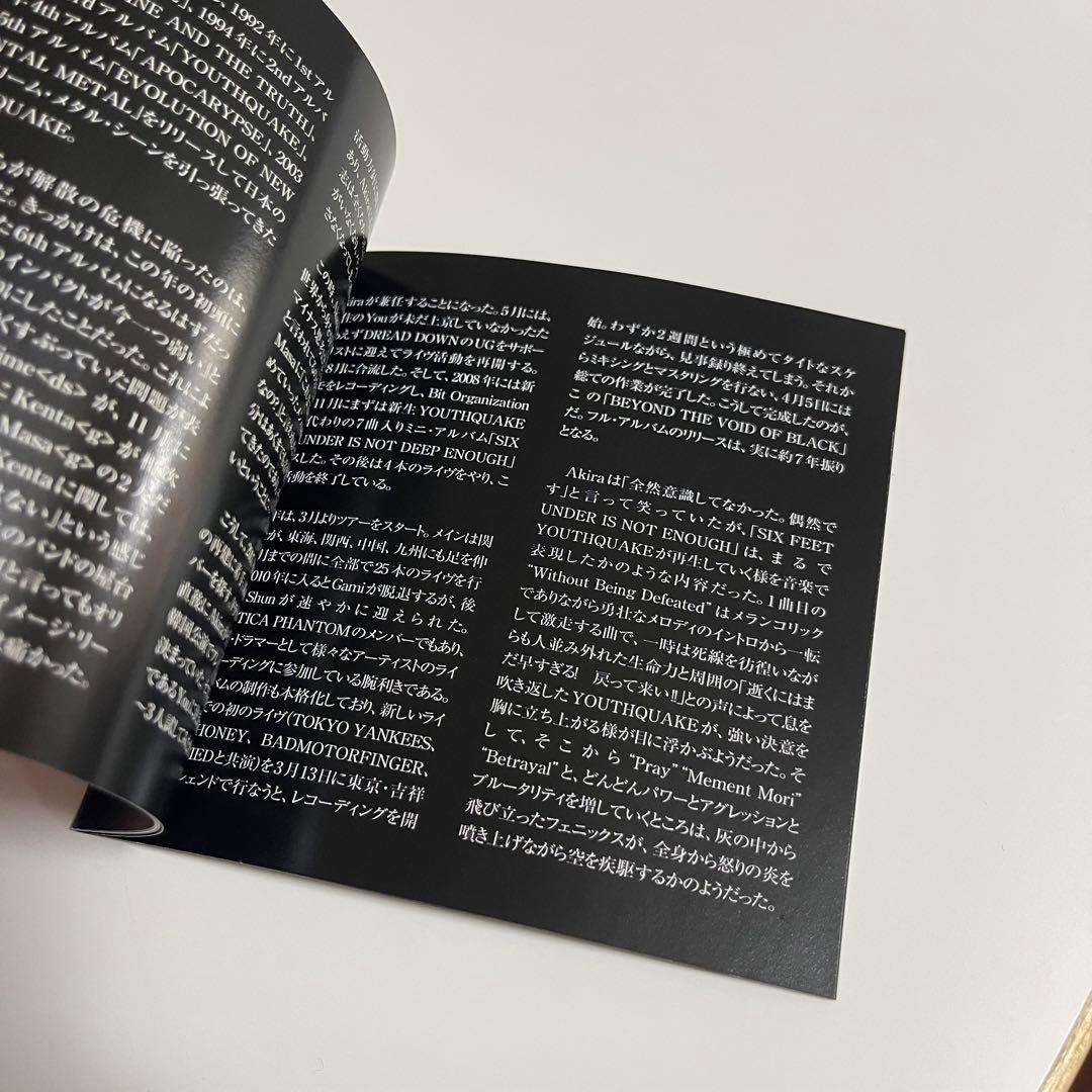 貴重盤 YOUTHQUAKE /BEYOND THE VOID OF BLACK