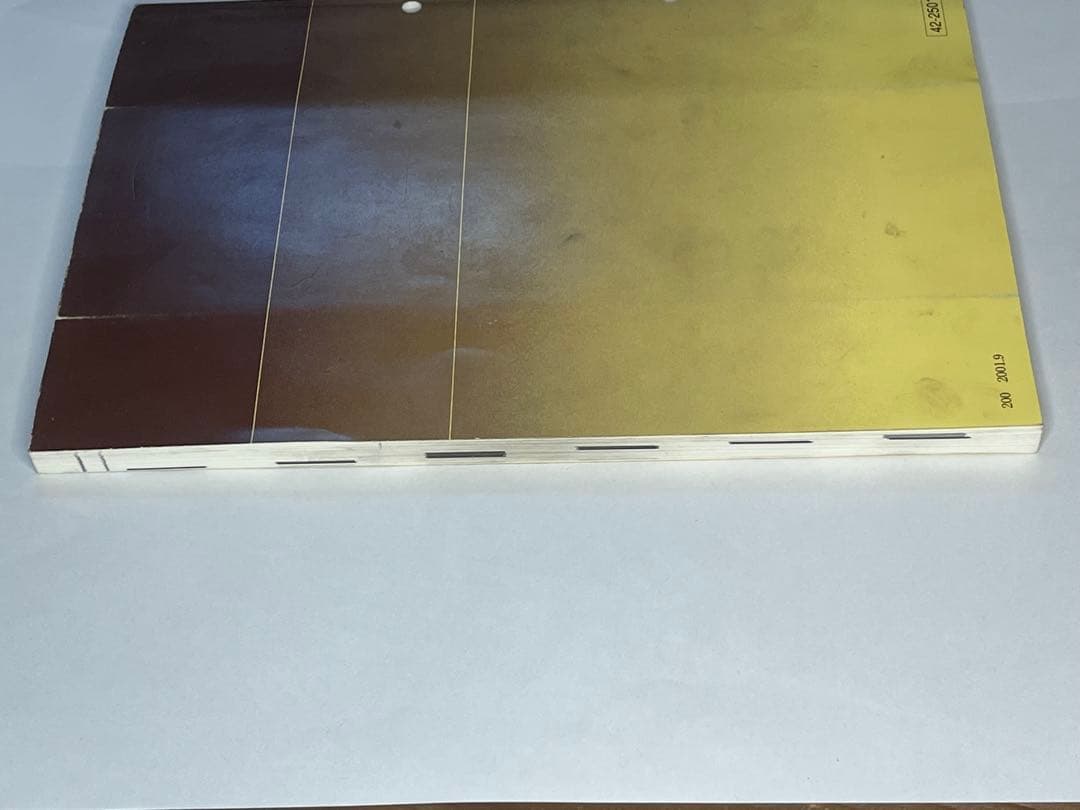 GSサービスマニュアルとパーツカタログセット