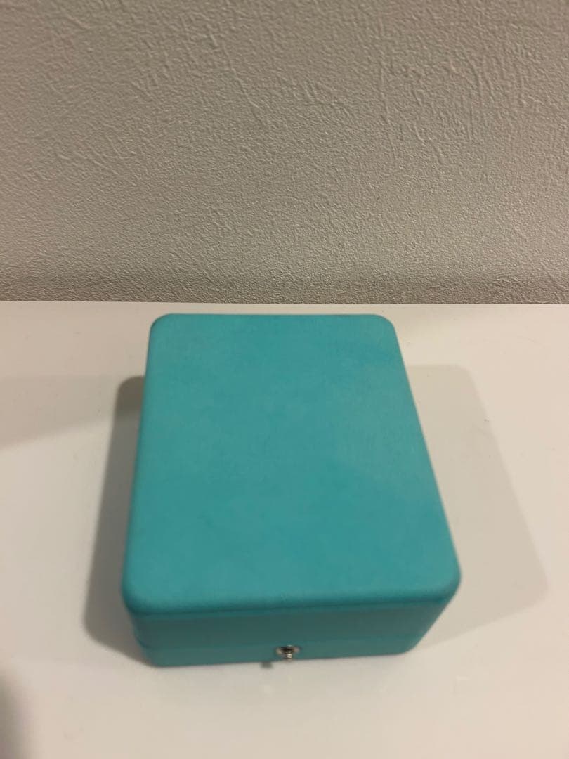 Tiffany & Co. ハードウェア　ラージダブルリンクネックレス