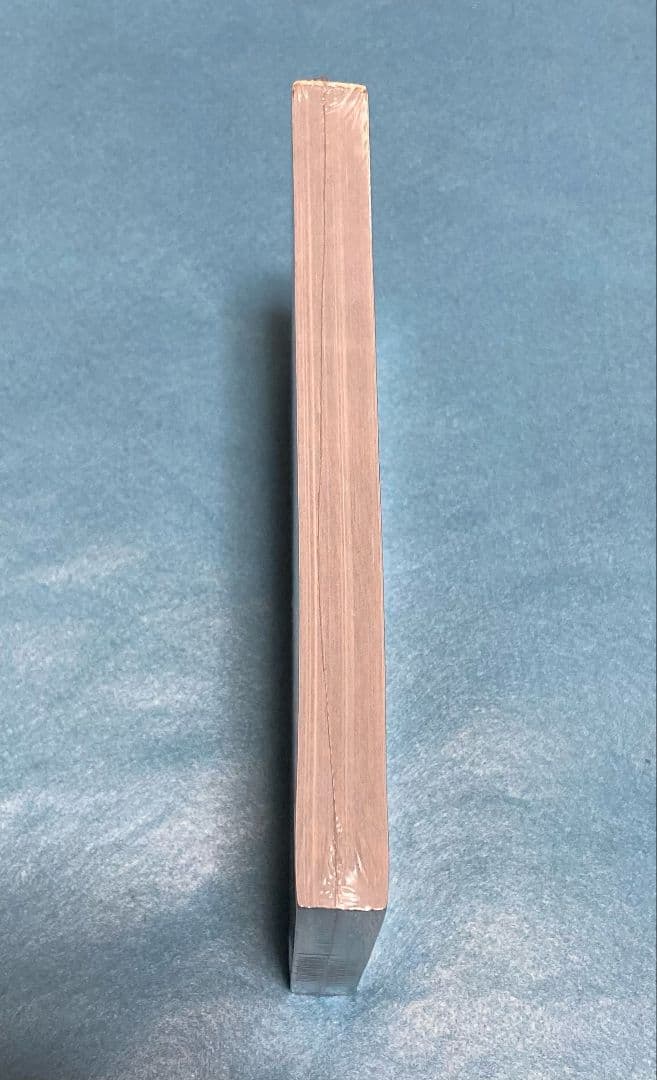 エレファントカシマシ 悪魔のささやき パンフレット 未開封品