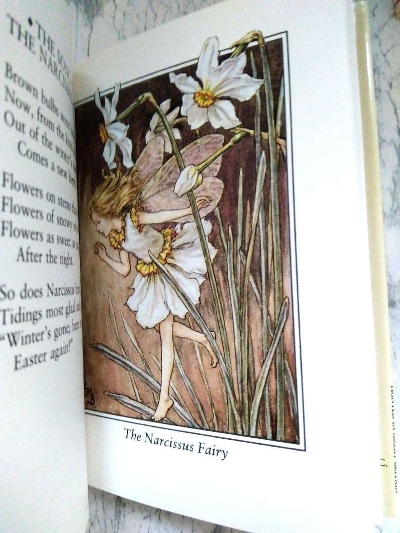 フラワーフェアリーズ 全8巻 収納ケース付 シシリー・メアリー・バーカー