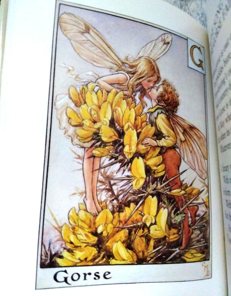 フラワーフェアリーズ 全8巻 収納ケース付 シシリー・メアリー・バーカー