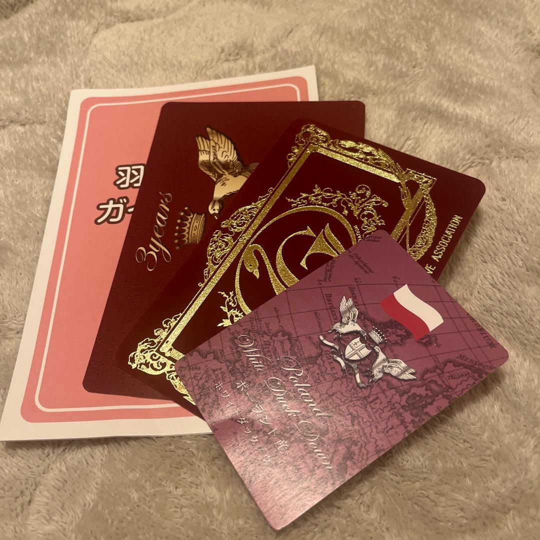 モリリン　羽毛掛け布団　シングル　ピンク