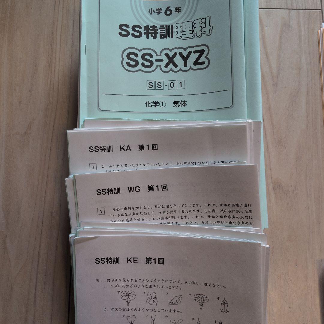 Sunday Sapix 2025年度 6年生 セット