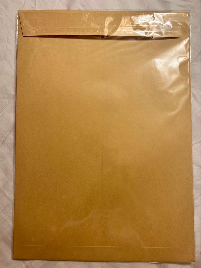 ヴァンパイア騎士原画展 限定 樋野まつり先生 直筆　原稿下絵