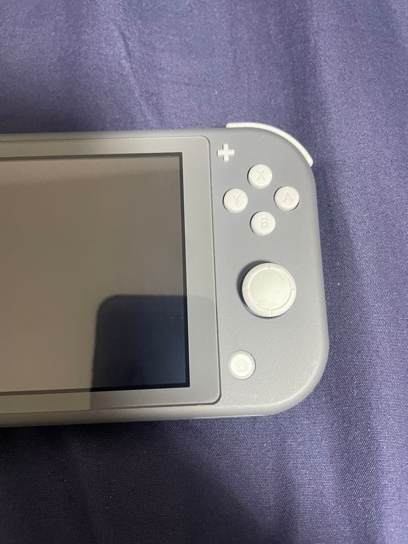 Nintendo Switch Nintendo Switch Lite gray
