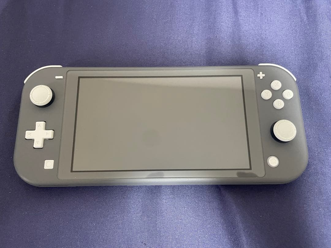 Nintendo Switch Nintendo Switch Lite gray