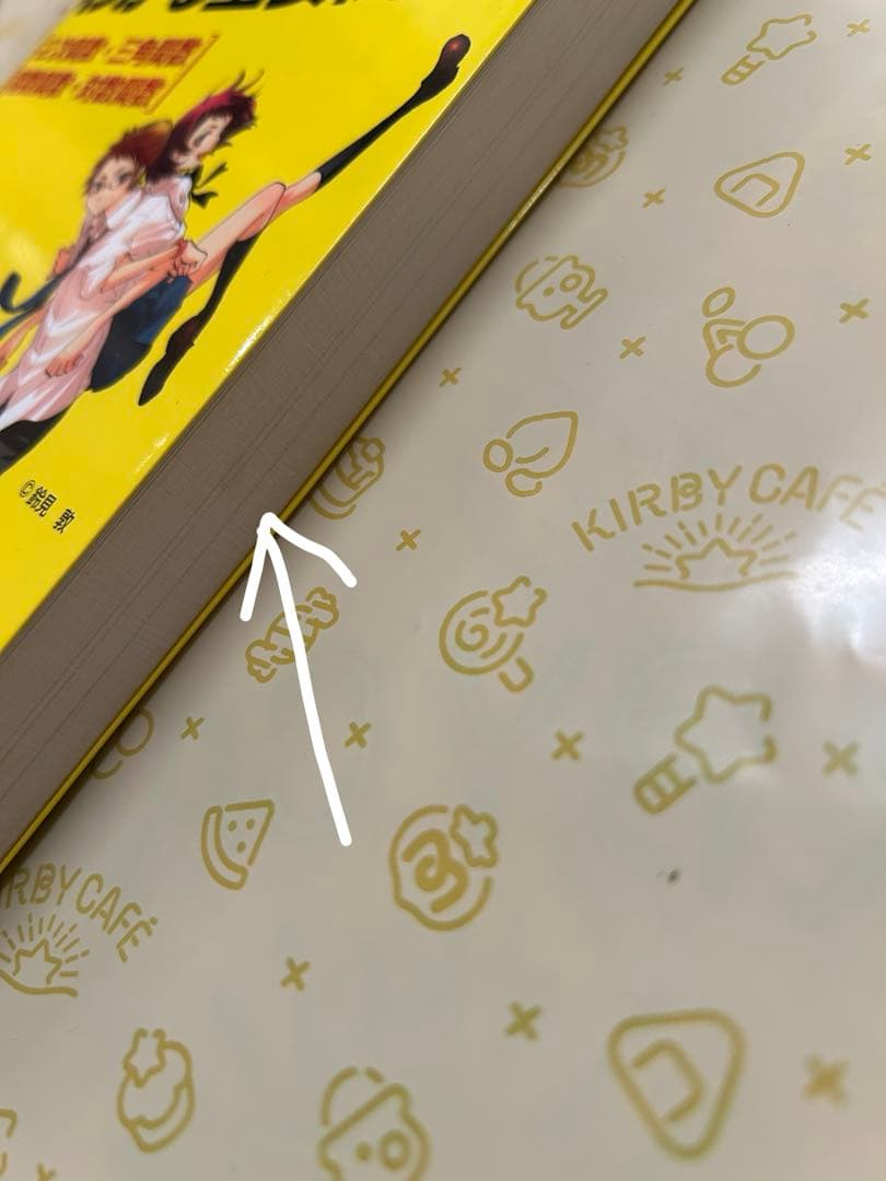 池田洋介のいっきにわかる重要関数