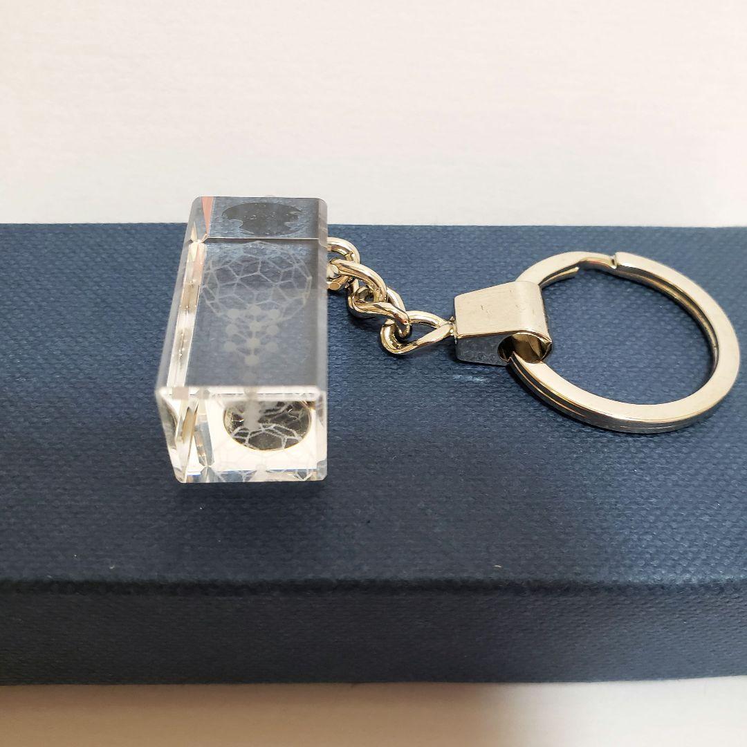 【美品】3Ｄカバラ・バッキーカバラ　キーホルダー 丸山修寛（箱あり）