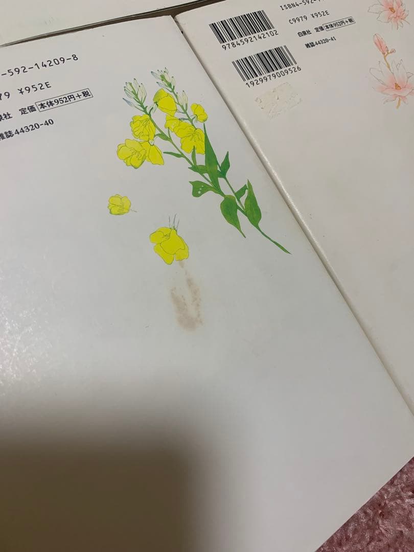 初版　愛蔵版 ぼくの地球を守って 全10巻 日渡早紀　白泉社