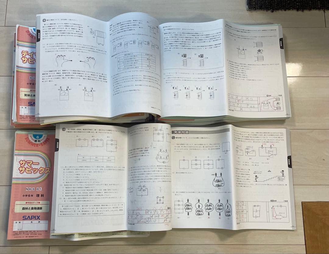 サピックス　SAPIX　6年　理科　テキスト1年分　2024年度版