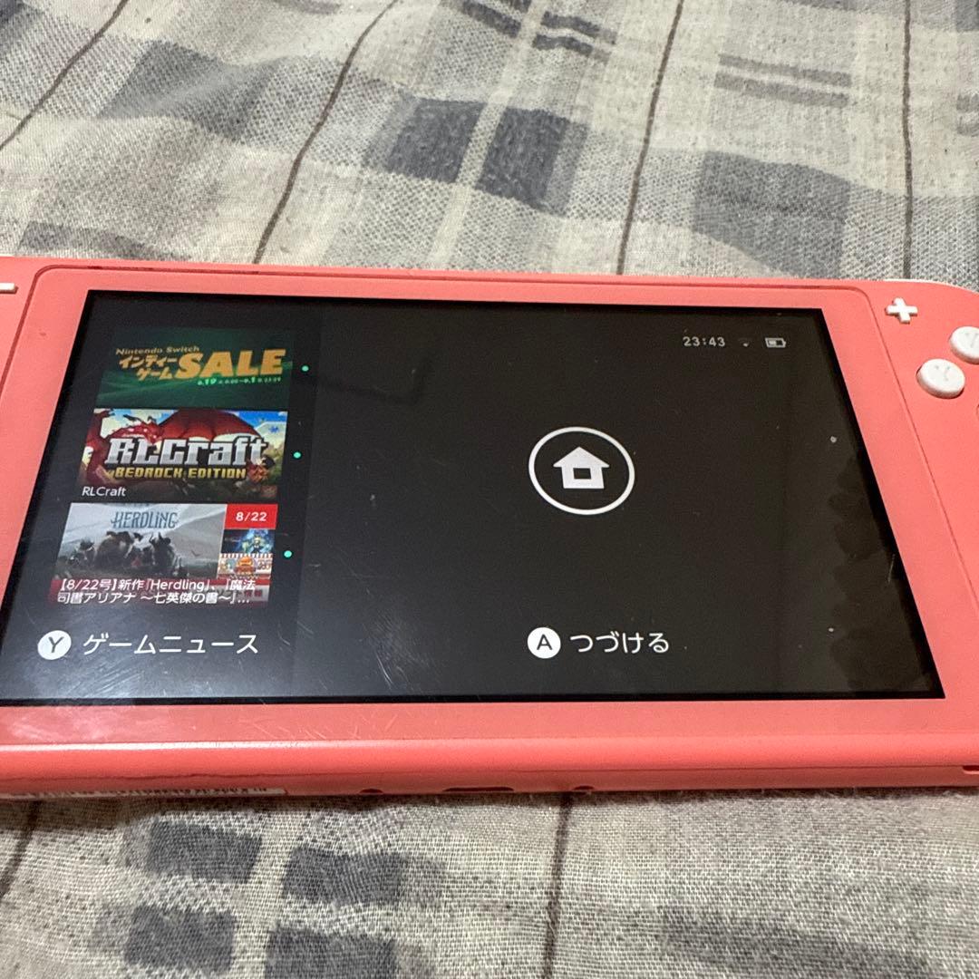 Switchライト動作確認済み