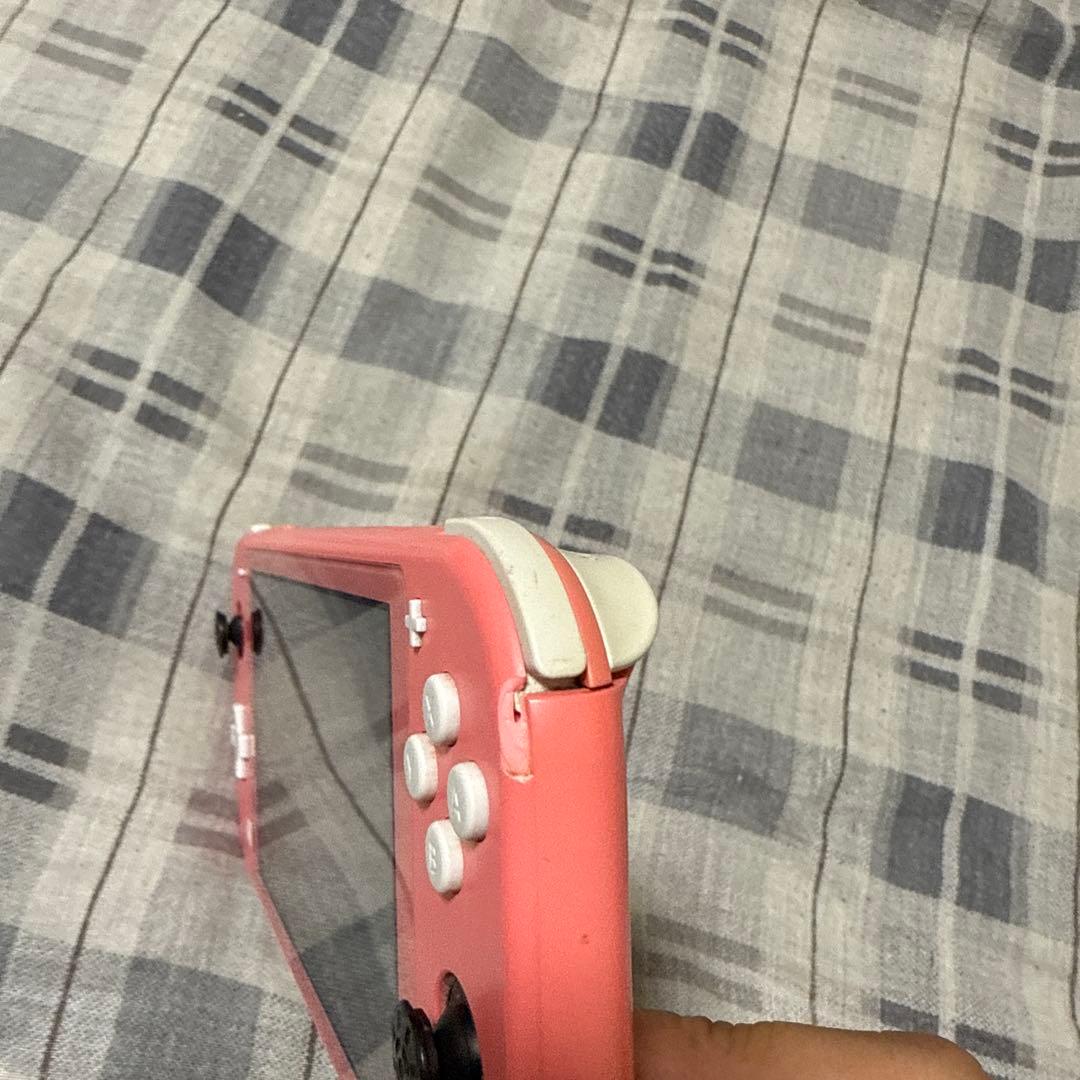 Switchライト動作確認済み